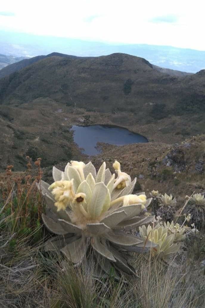 laguna de iguaque paisaje vertical