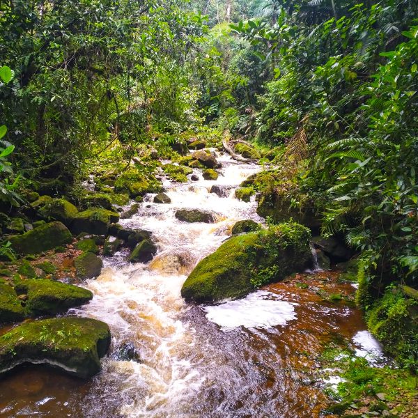 Caminata encuentro de Ríos Boyacá