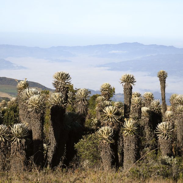 senderismo al paramo de merchan