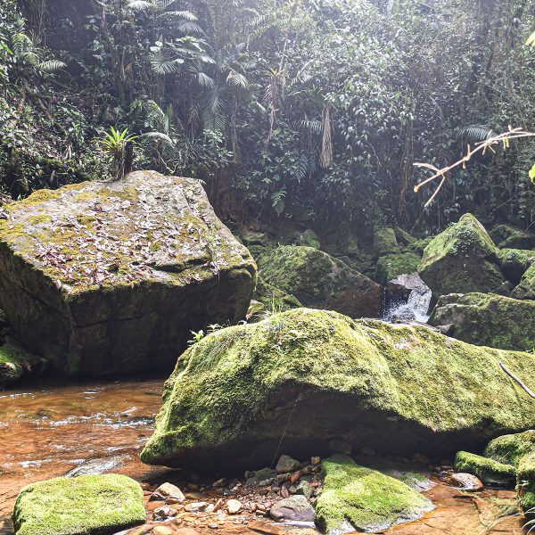 Encuentro de Ríos Caminata Los Yátaros