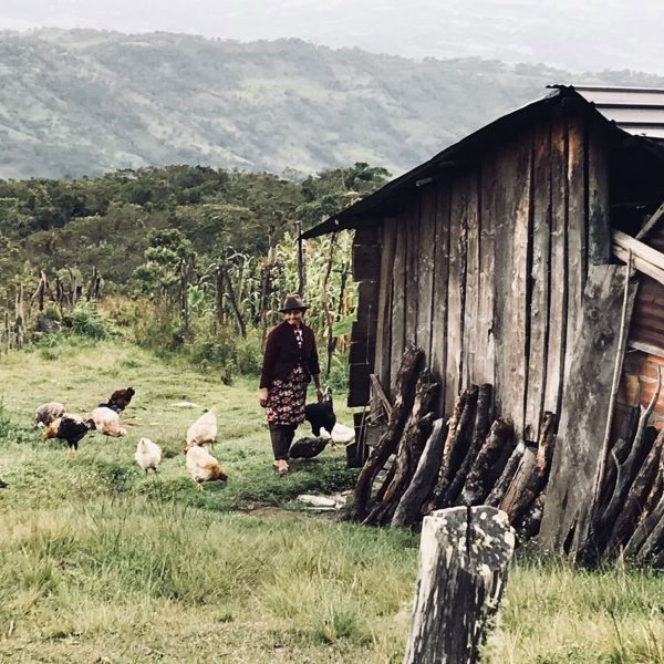 caminata togui campesina