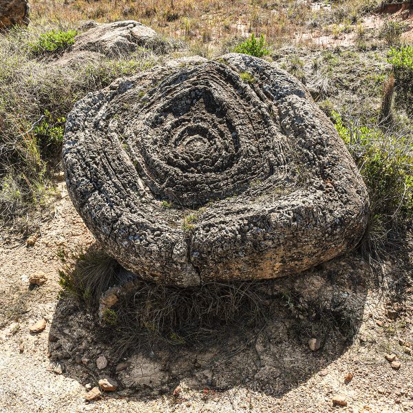 Carcavas de Ritoque Rocas