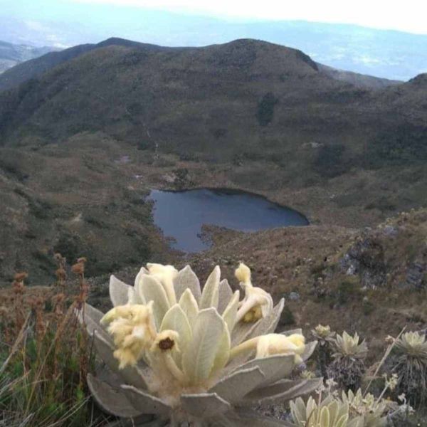 laguna de iguaque foto a la laguna