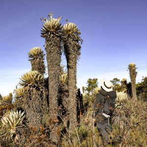 caminatas desde villa de leyva al paramo de merchan