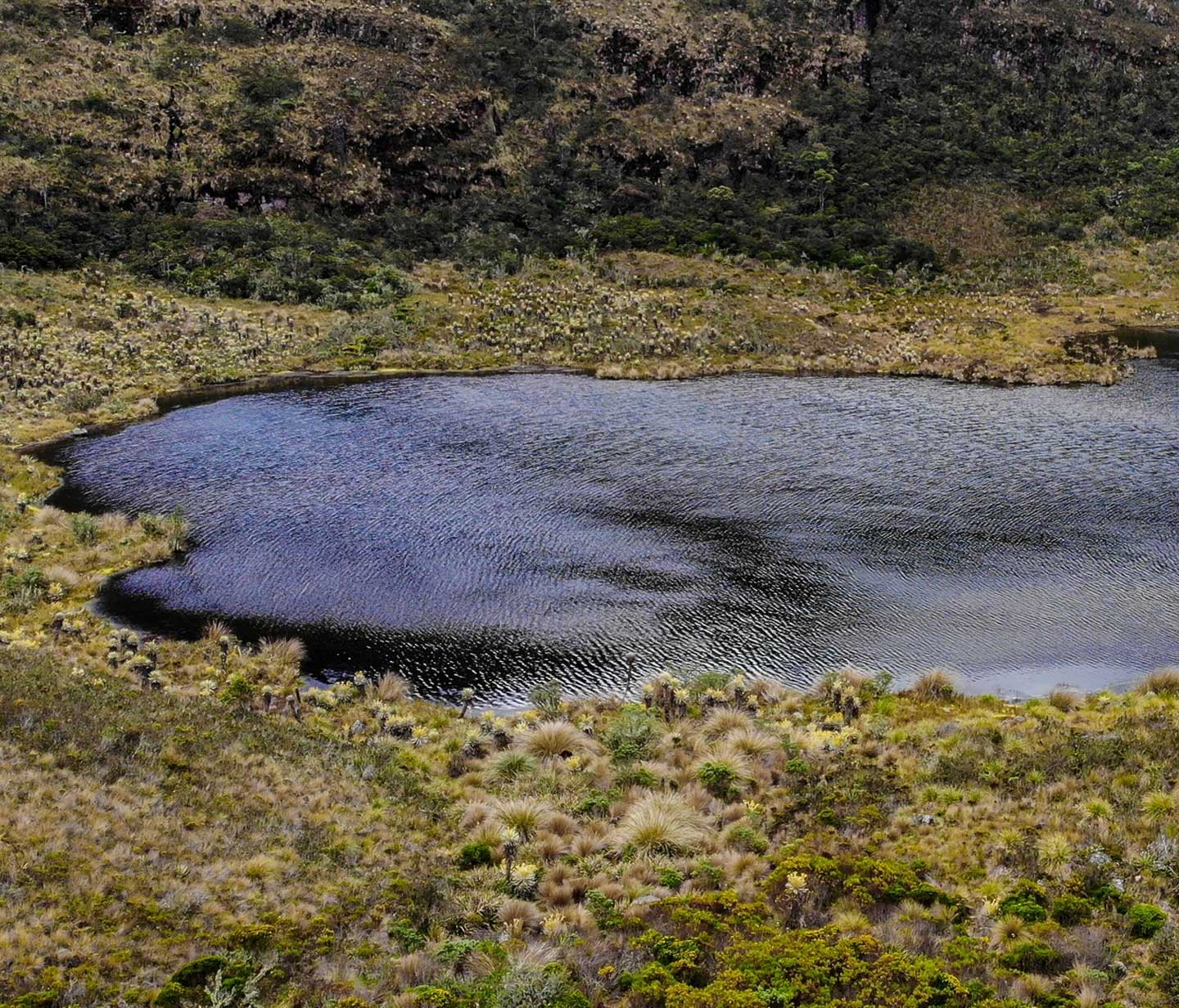 laguna de iguaque tour