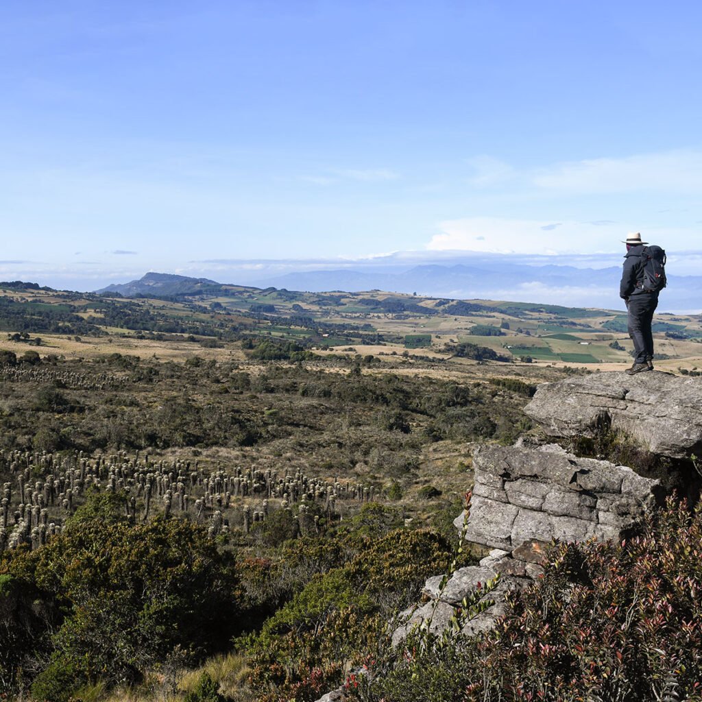Páramo de Merchán
