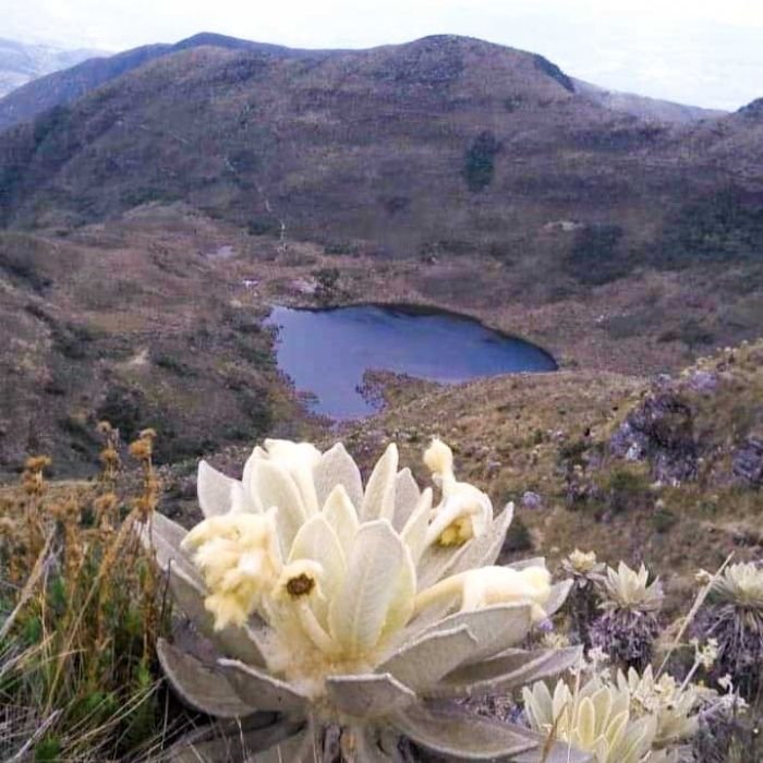 foto laguna de iguaque