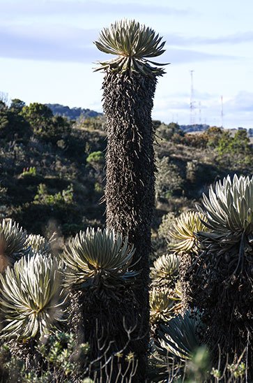 merchan-caminatas-boyaca