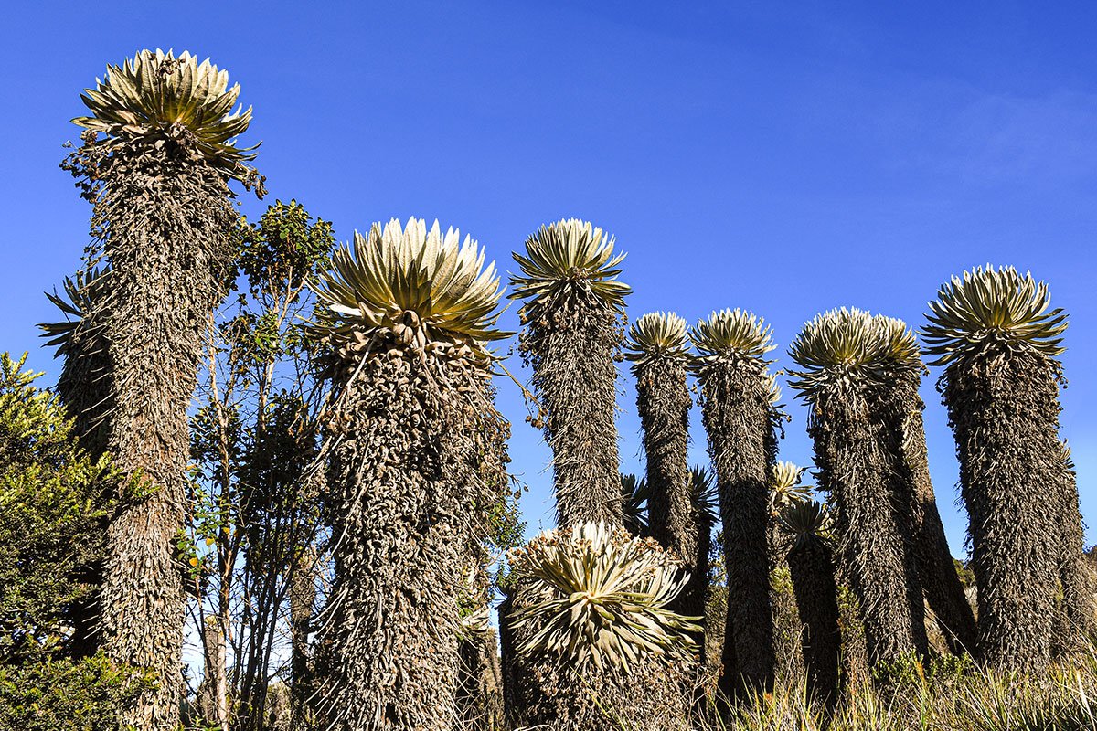 senderismo en villa de leyva