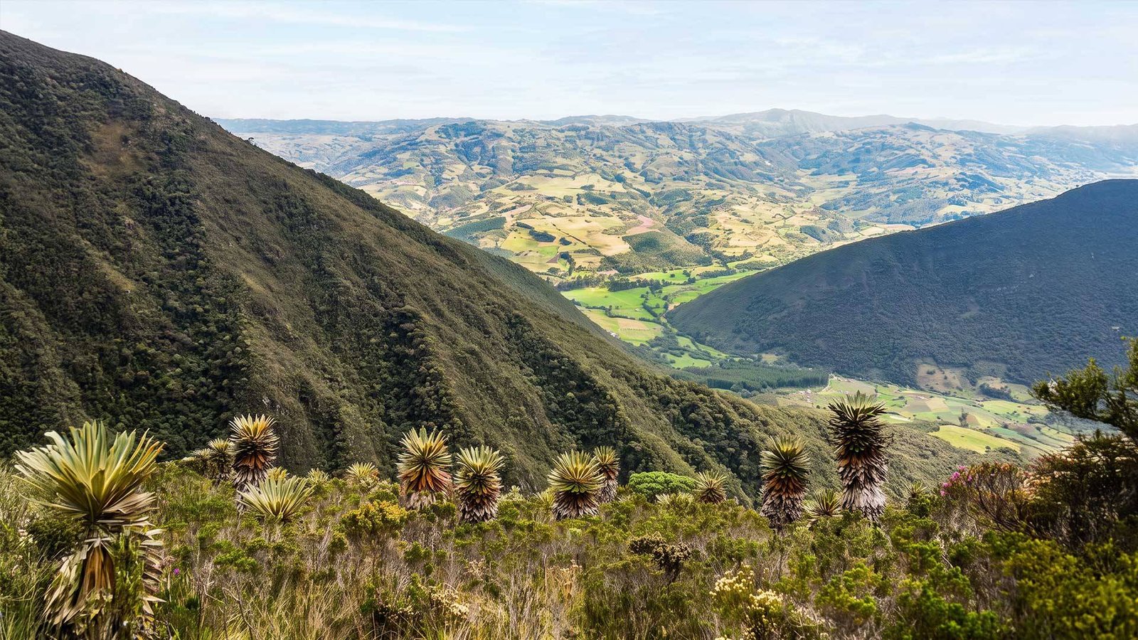 laguna de iguaque